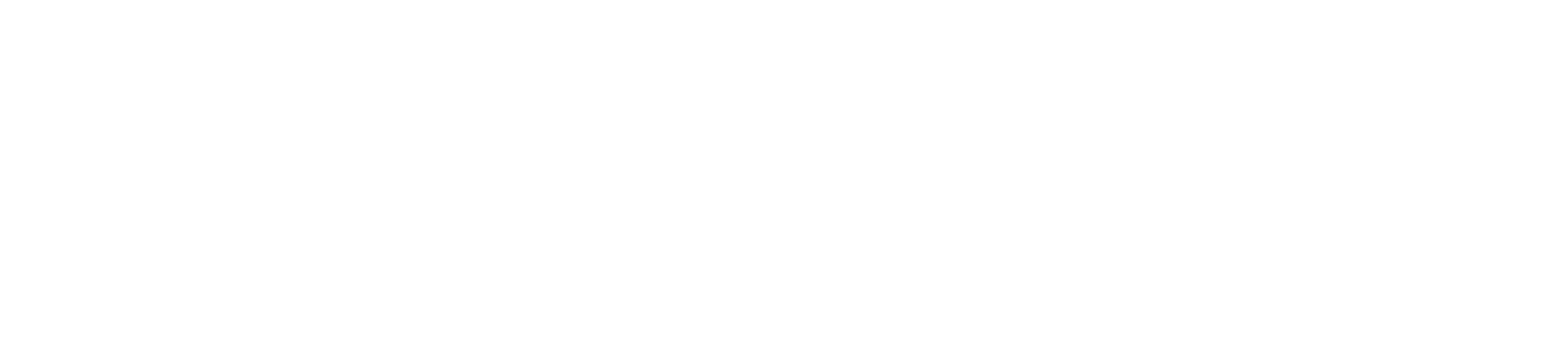the crown logo