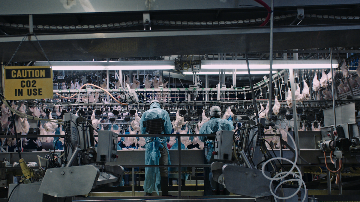 A shot of food-processing assembly line from the documentary ‘Poisoned: The Dirty Truth About Your Food.’