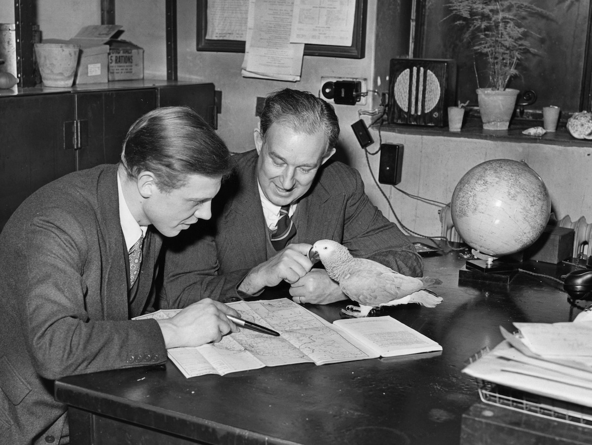 David Attenborough, producer of the BBC wildlife documentary ‘Zoo Quest’ series and Jack Lester, curator of London Zoo’s reptile house.