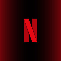 Netflix N logo