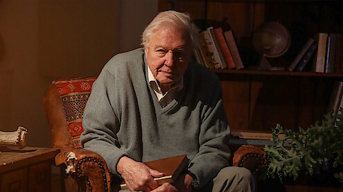 Elderly man sitting in a cozy, warmly lit room on an armchair, holding a notebook; bookshelf with books and a globe, potted plant and rustic decor in the background.