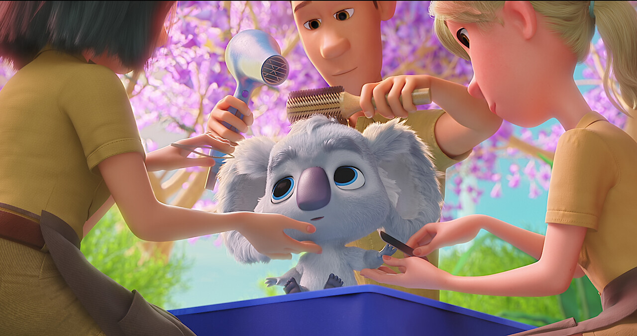 Koala getting his hair combed