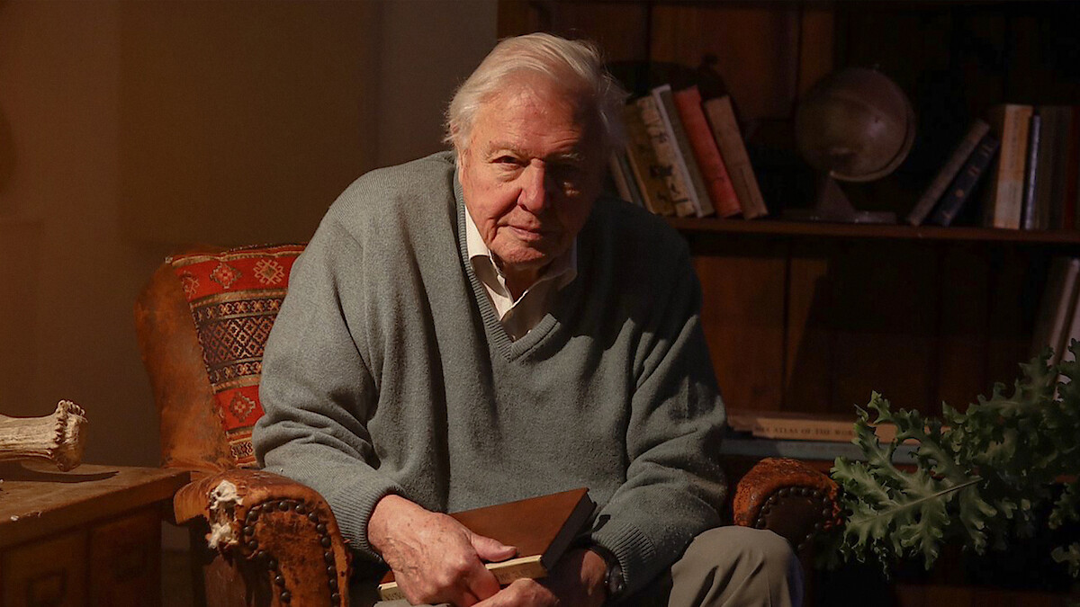 Elderly man sitting in a cozy, warmly lit room on an armchair, holding a notebook; bookshelf with books and a globe, potted plant and rustic decor in the background.