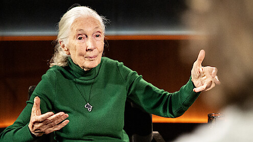 Famous Last Words. Jane Goodall. Courtesy of Netflix. 2025