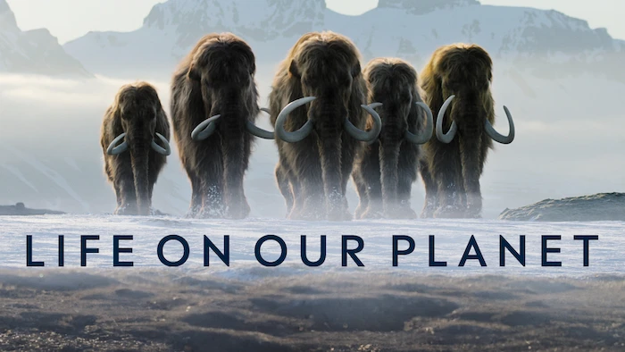 Life on Our Planet