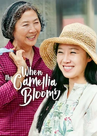 When the Camellia Blooms